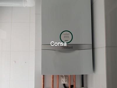 Caldera Gas Vaillant Ecotec Plus