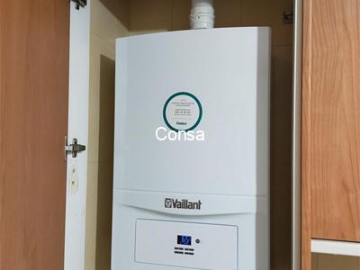 Caldera Gas Vaillant Ecotec Pure