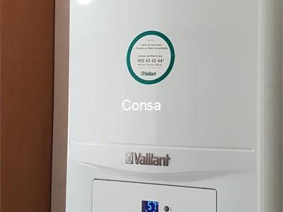 Caldera Gas Vaillant Ecotec Pure